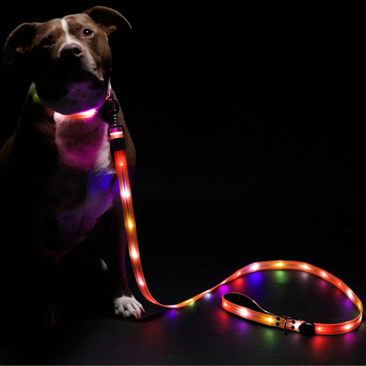 Safer Walking LED Dog Leash & Peaceful Evening Walks - High Visibility Light Up Dog Leash LED - Lighted Dog Leash - Light Up Leash - Dog Leash with LED Light - 6 Foot Dog Leash with Light New Version!