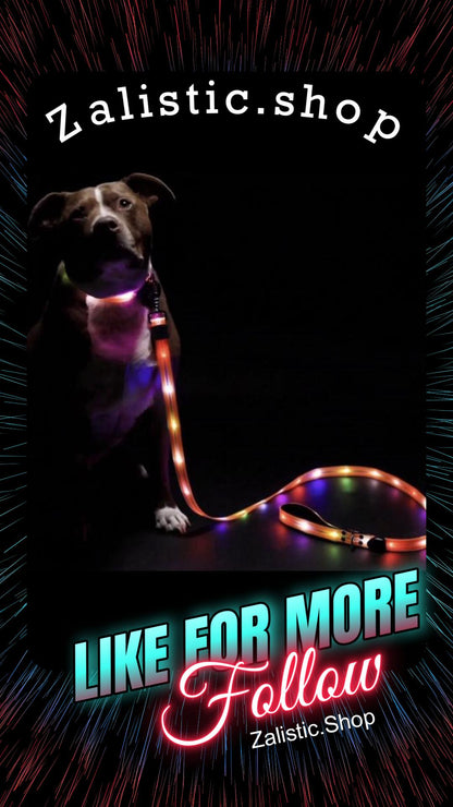 Safer Walking LED Dog Leash & Peaceful Evening Walks - High Visibility Light Up Dog Leash LED - Lighted Dog Leash - Light Up Leash - Dog Leash with LED Light - 6 Foot Dog Leash with Light New Version!