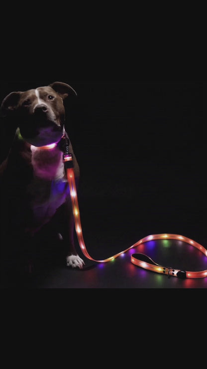 Safer Walking LED Dog Leash & Peaceful Evening Walks - High Visibility Light Up Dog Leash LED - Lighted Dog Leash - Light Up Leash - Dog Leash with LED Light - 6 Foot Dog Leash with Light New Version!