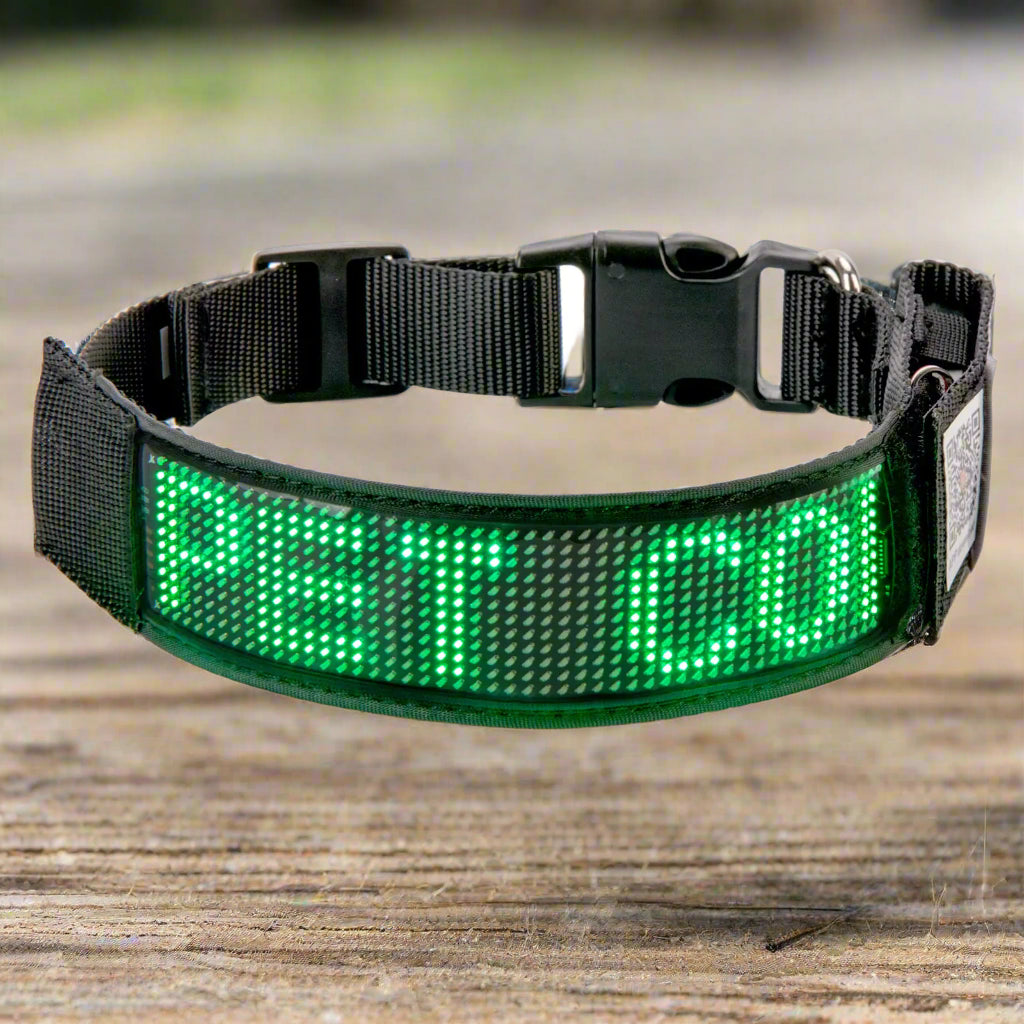 LED Dog Collar Flashing Light Up Rechargeable Pet Dog Safety Collar Glow in The Dark Light-up Neck Loop - Green LED