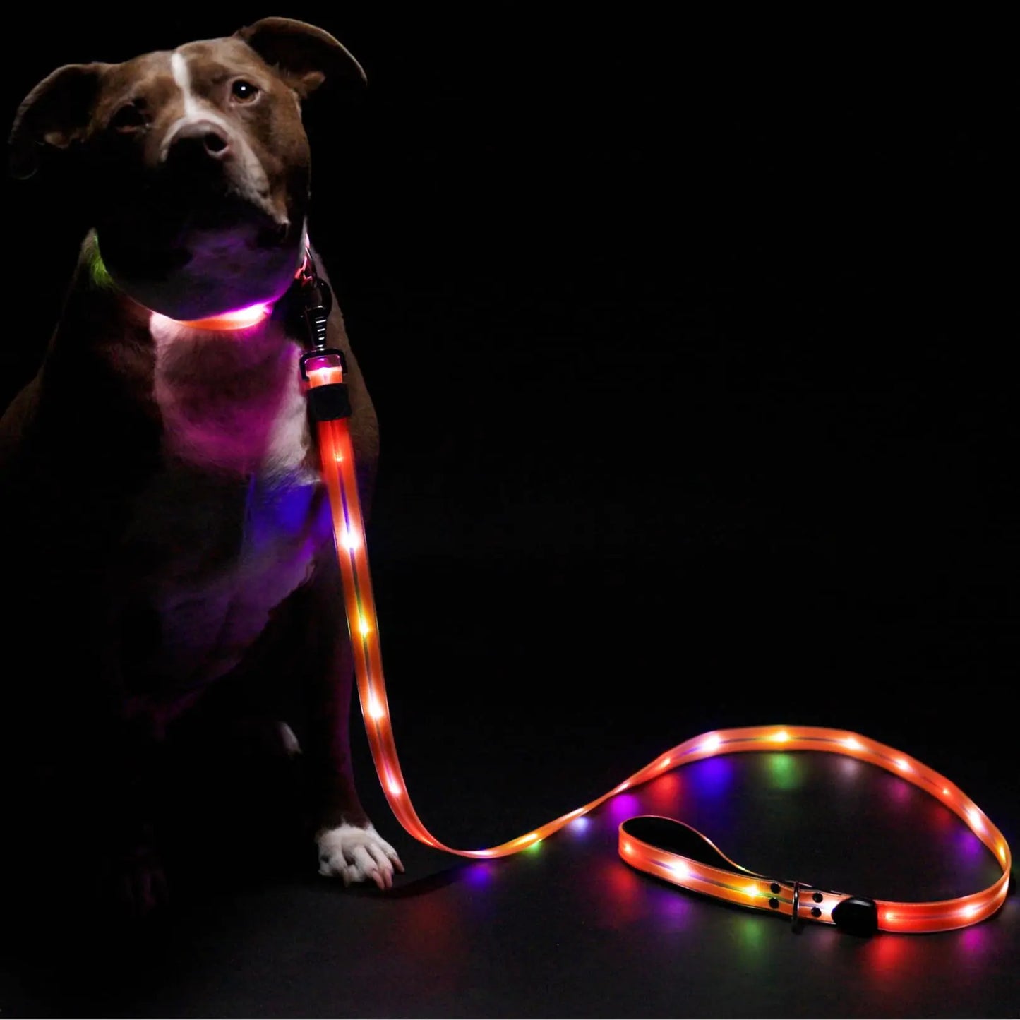 Safer Walking LED Dog Leash & Peaceful Evening Walks - High Visibility Light Up Dog Leash LED - Lighted Dog Leash - Light Up Leash - Dog Leash with LED Light - 6 Foot Dog Leash with Light New Version!