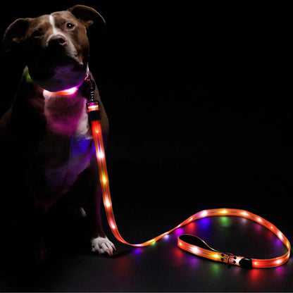 Safer Walking LED Dog Leash & Peaceful Evening Walks - High Visibility Light Up Dog Leash LED - Lighted Dog Leash - Light Up Leash - Dog Leash with LED Light - 6 Foot Dog Leash with Light New Version!