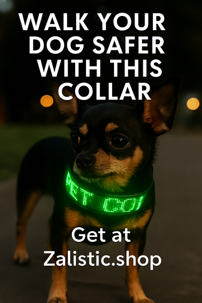 LED Dog Collar Flashing Light Up Rechargeable Pet Dog Safety Collar Glow in The Dark Light-up Neck Loop - Green LED